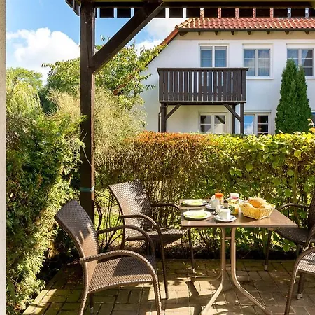 Daire Kormoran Brandung *