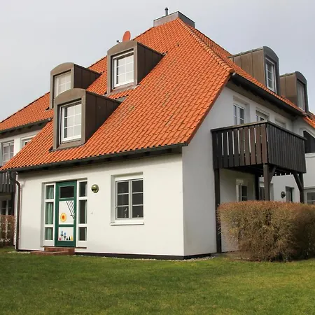 Kormoran Brandung *